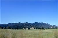 小学生读书演讲稿