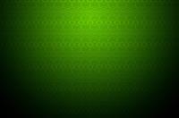 祖国演讲稿作文