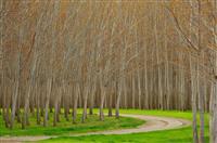 竞聘医务科科长演讲稿