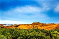 匠心筑梦演讲稿