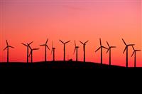 演讲稿作文300字