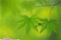 大学社团竞选演讲稿