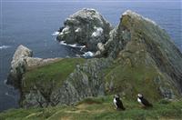 医院竞聘演讲稿