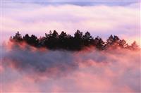 新店开业的致辞