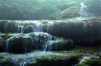 学生会竞聘会演讲稿