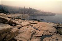 演讲竞聘演讲稿