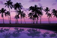 对岗竞聘演讲稿