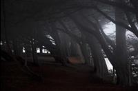 环保主题演讲稿