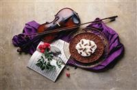 对岗竞聘演讲稿